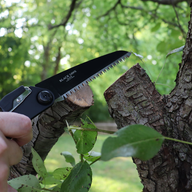 BLACK JAWS 11" Pocket Saw
