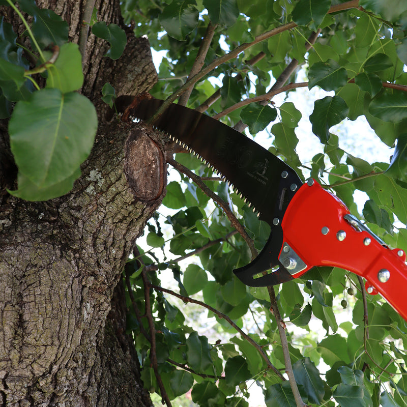 ENSO Heavy Duty Pole Saw, 10 ft.