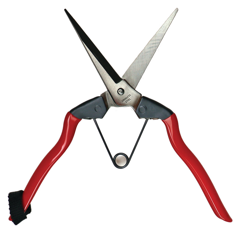 GT Stainless Steel Needlenose Snips